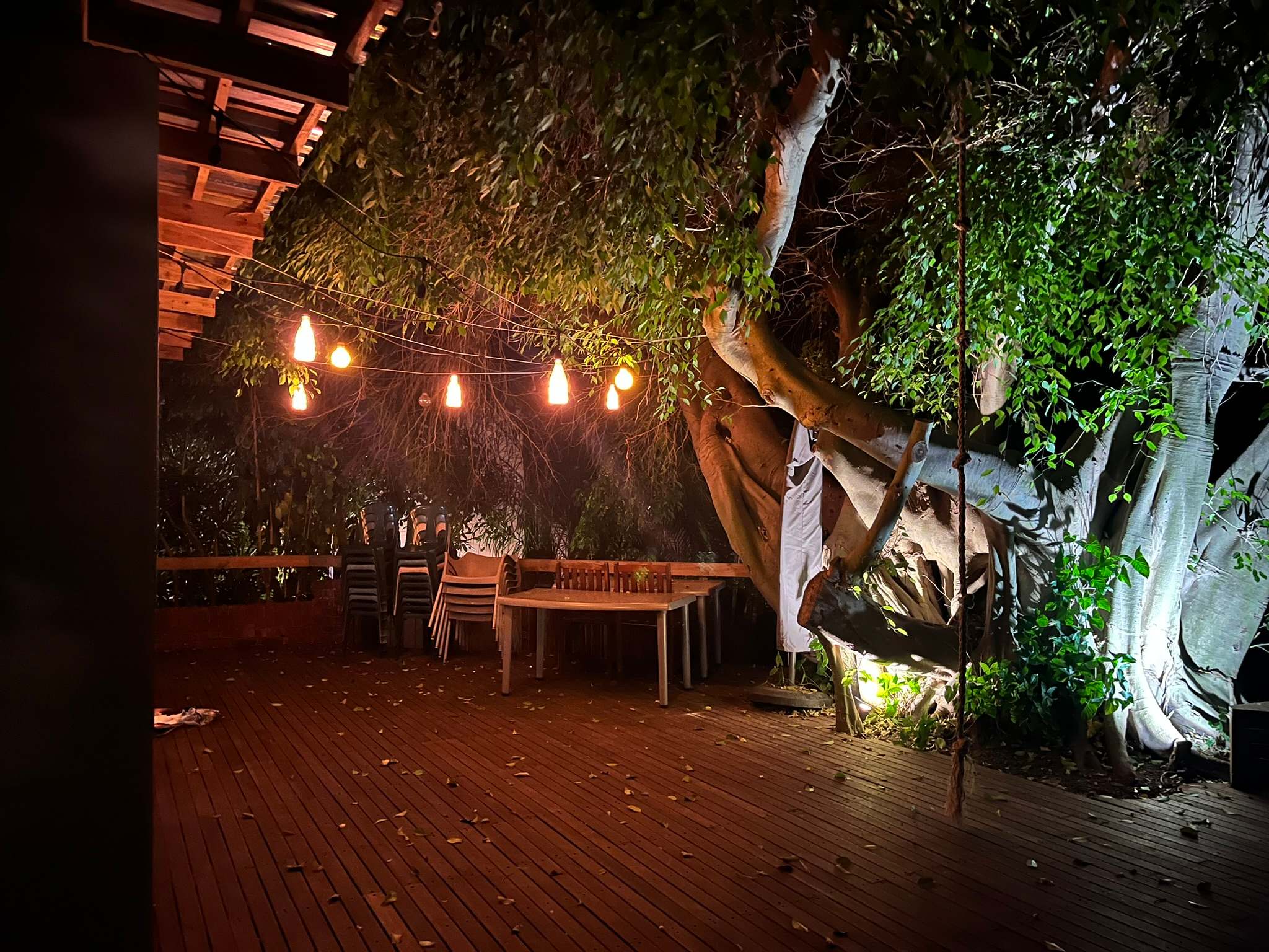 DG Technologies heritage entertainment room build detail: Outdoor Fairy Lights Controlled by Crestron