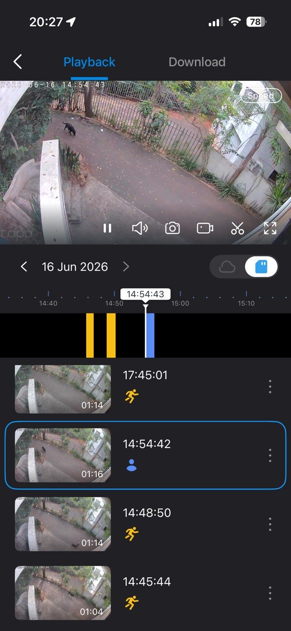 Tapo app camera settings and person detection options