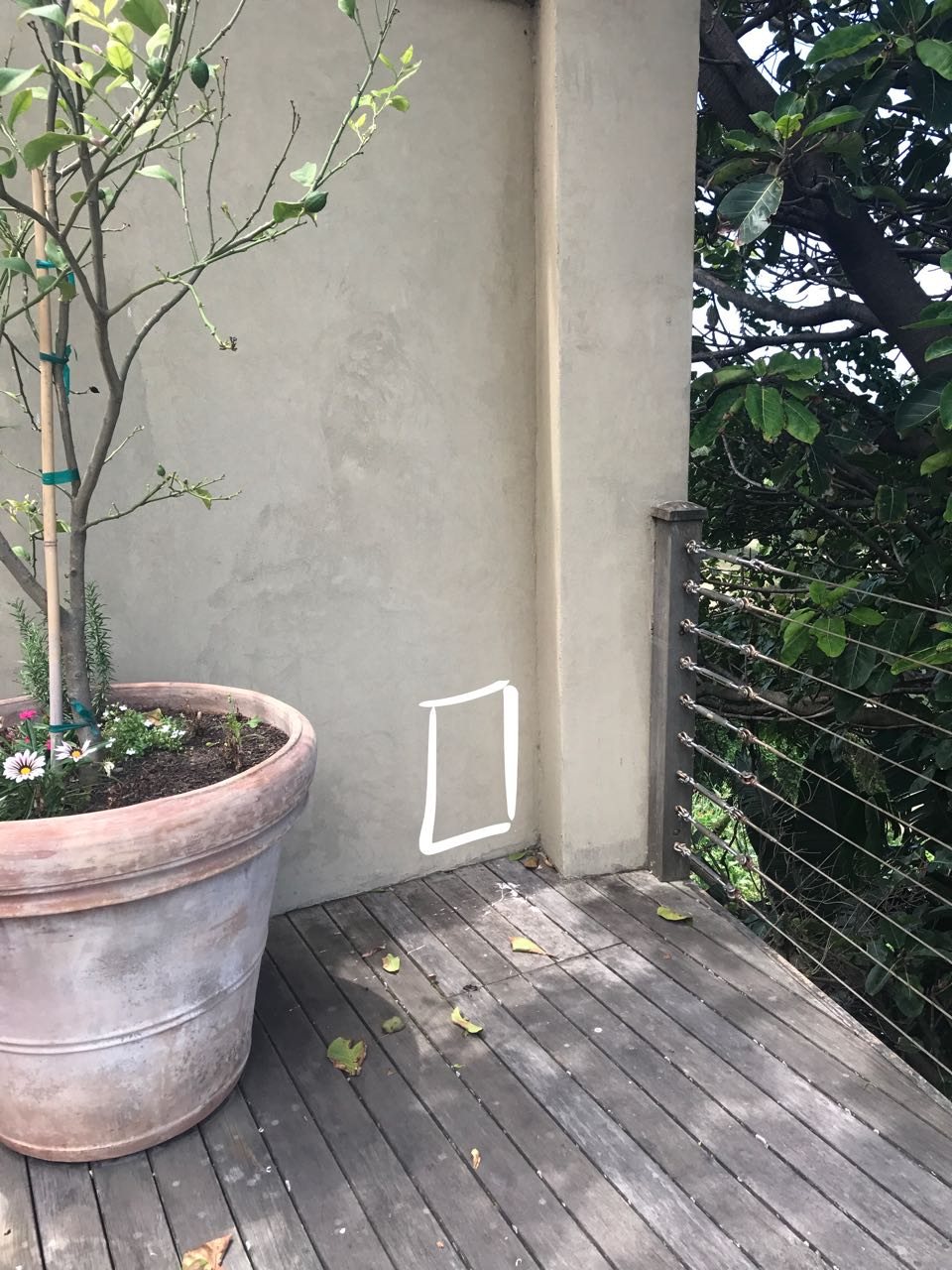 Outdoor speaker placement being reviewed beside a pool entertainment area