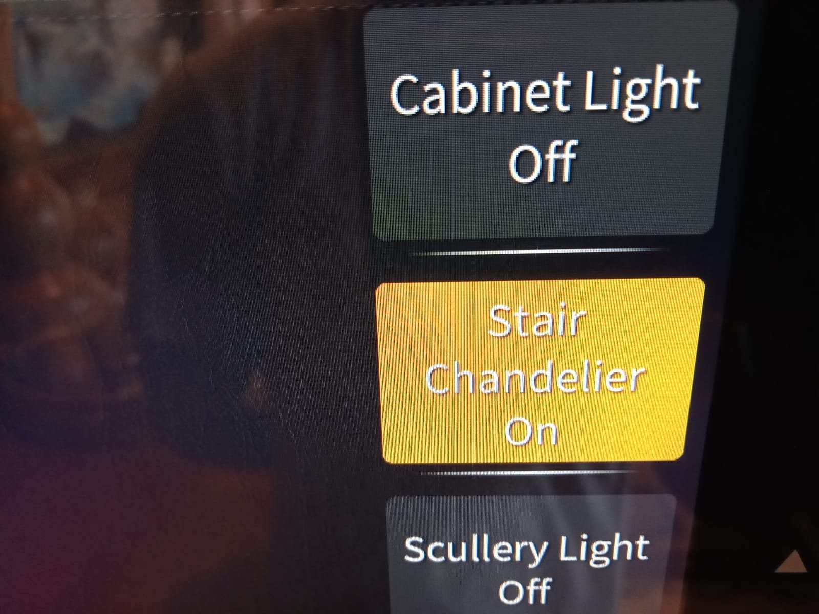 Close-up of Crestron touch panel control buttons