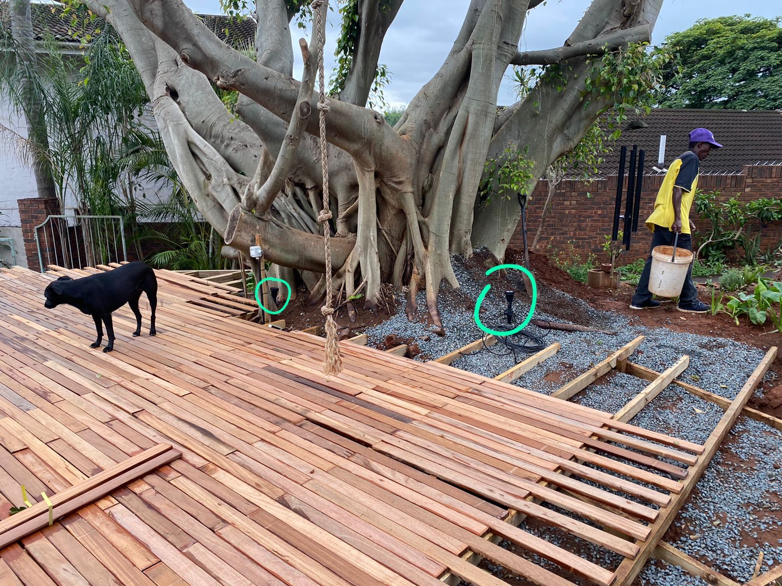 planning lighting for tree home automation before deck goes in